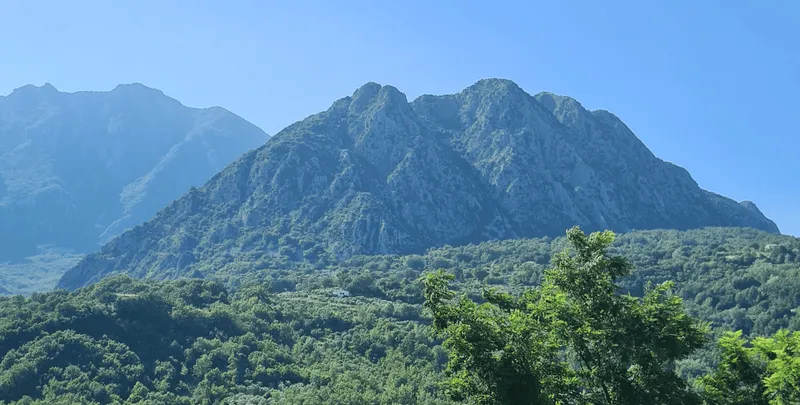 La collina degli ulivi, casa vacanze panoramica nel Molise, prima regione d'Italia per il turismo 2026